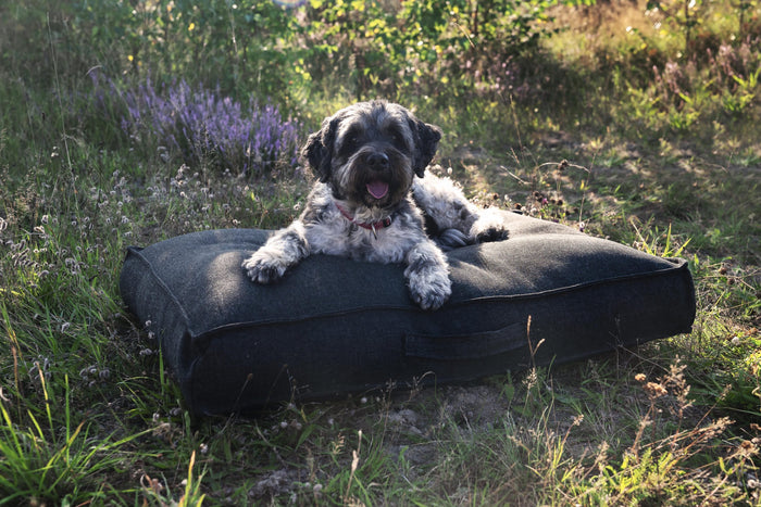 bf08e501-d9d2-41ba-933c-1483ab00d23e-afbeelding6.jpg (5335979)