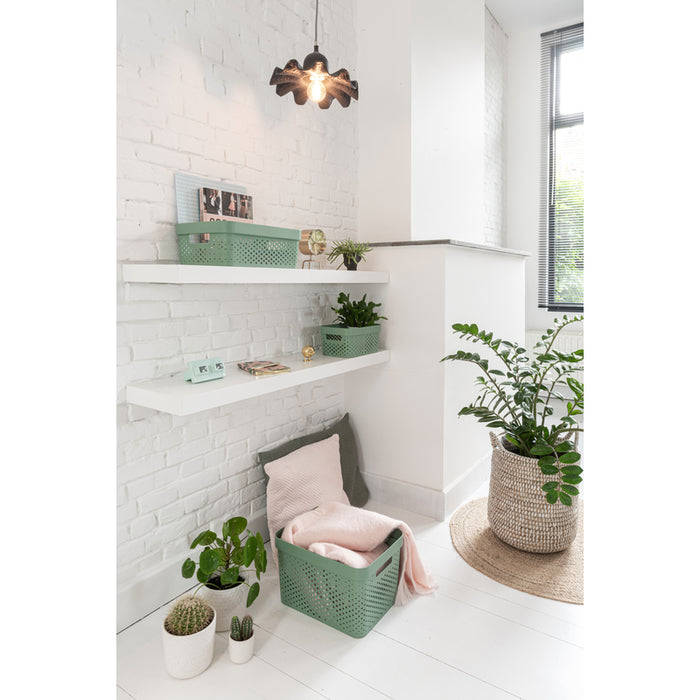 Curver Infinity Recycled Dots Opbergbox - 11L - 3 stuks - Groen