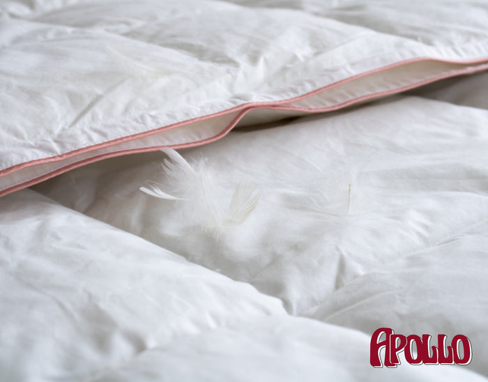 Apollo - Voldonzen Eendendons - 4-Seizoenen Dekbed - 240x220cm