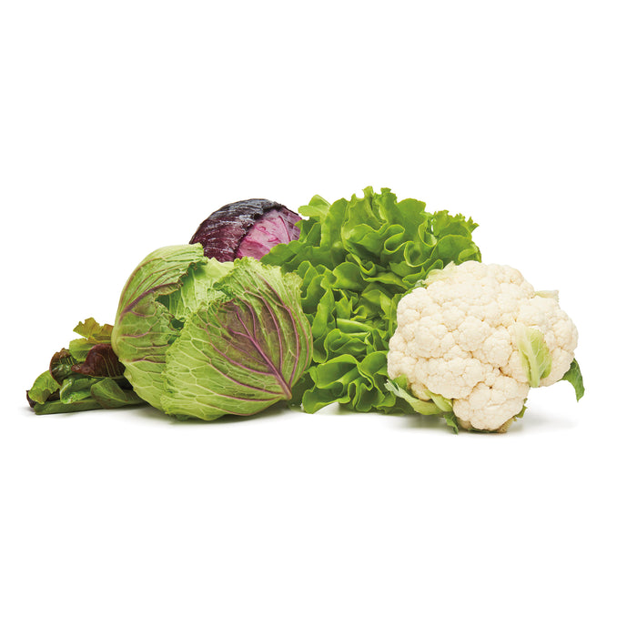 OXO Good Grips vershoudbox GreenSaver - 4 liter