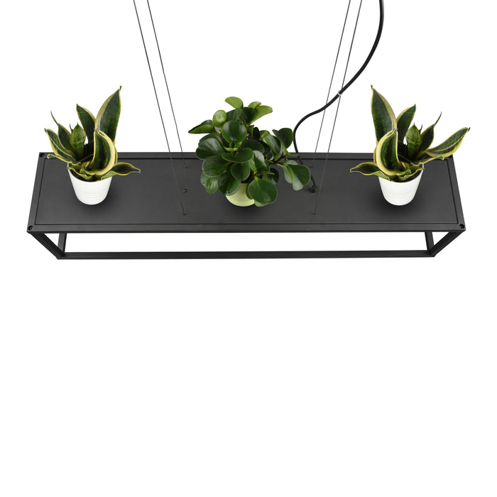 Trio Reality Vito Hanglamp - Mat zwart