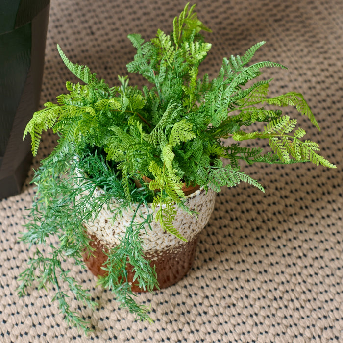 0a7d4d13-76d7-4cc1-a970-7f4d4a678d82-afbeelding5.jpg (5798251)