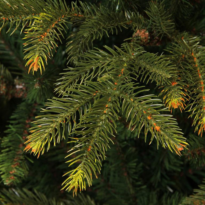 Black Box Frasier Kunstkerstboom H 185 cm