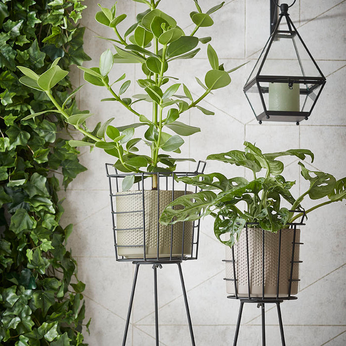 910af9a7-5d58-4954-99f5-158acc67c6bd-afbeelding5.jpg (5977508)