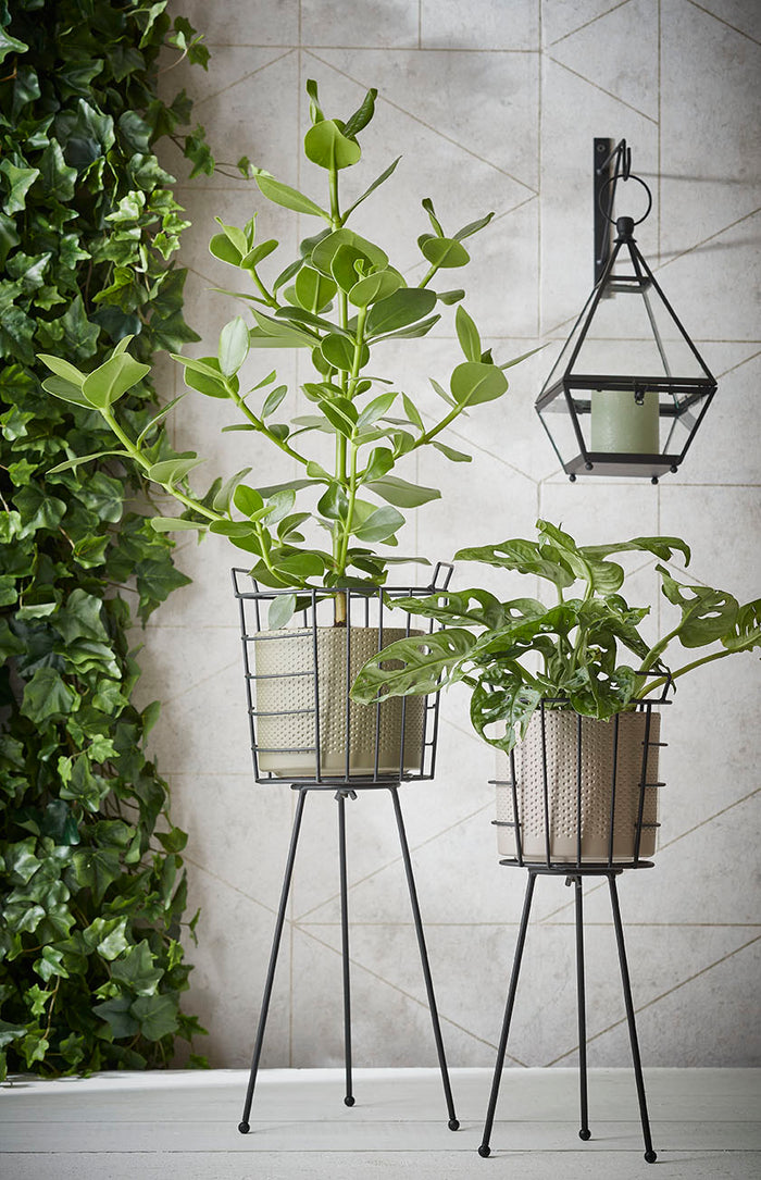 910af9a7-5d58-4954-99f5-158acc67c6bd-afbeelding5.jpg (5977508)