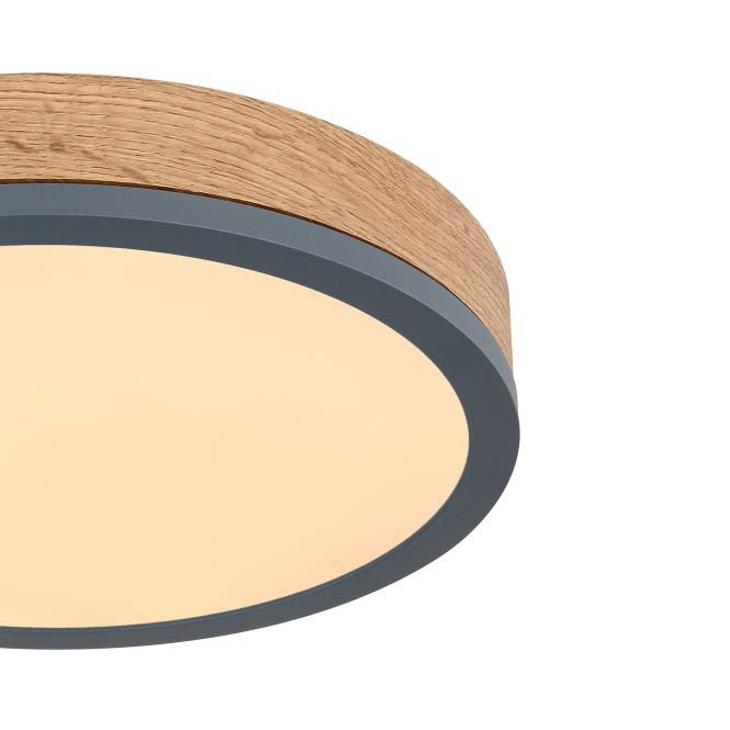 e6463ff5-1a15-4774-9c0c-8bb9e3487178-afbeelding5.jpg (6026082)