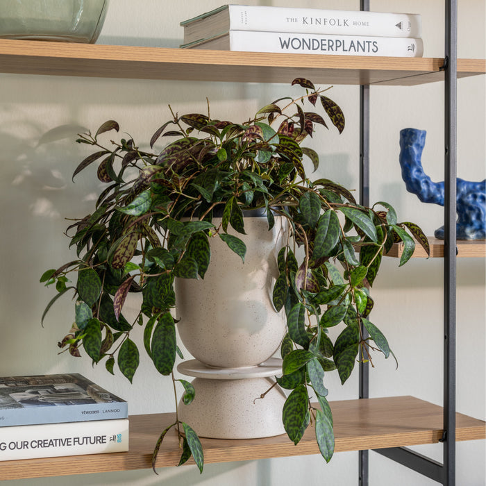 310217-x01-202307051121-A.jpg (6040791)