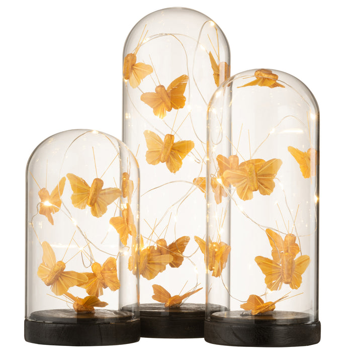 867ddf19-fc01-4b40-9e07-7ffe864af4d8-afbeelding5.jpg (6043306)