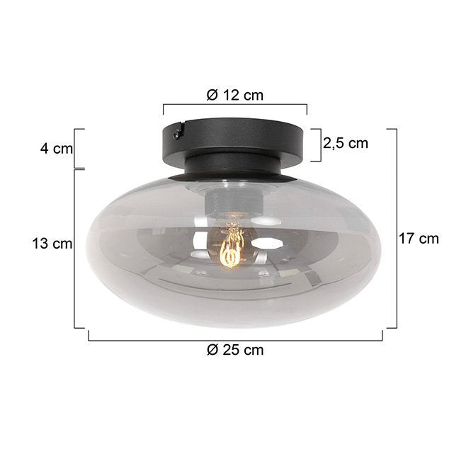 Steinhauer Plafondlamp reflexion Ø 25 cm 3387 zwart
