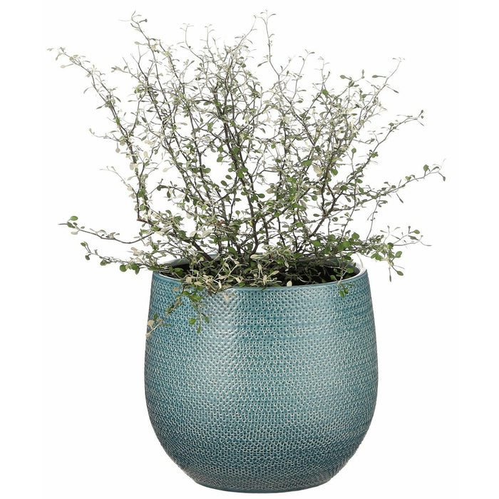 f9066b01-3f1a-46f0-b270-ad1e9a521162-sfeerbeeld.jpg (6287561)