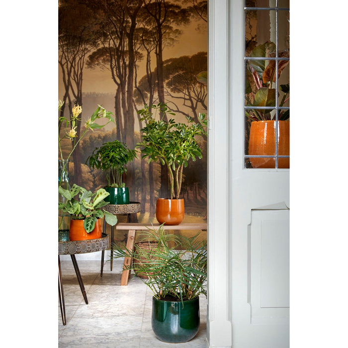 7780eaa5-9d40-4d8c-8a70-85f3de92efe7-sfeerbeeld.jpg (6289009)