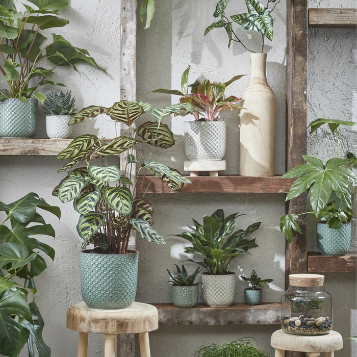 a07f425d-c95b-4db8-92fb-aa2520ffed32-sfeerbeeld.jpg (6289079)