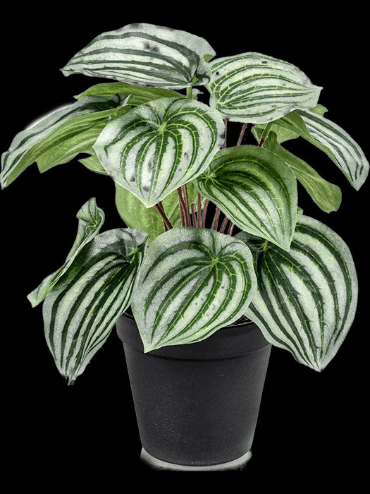 2be3b3eb-bc83-4e08-b914-61a88a1eda35-afbeelding3.jpg (6331134)