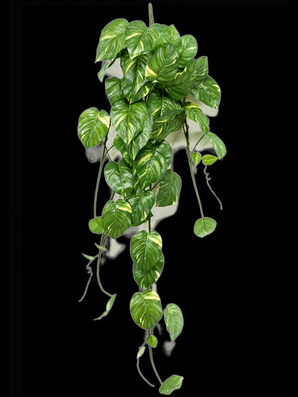 f7625f66-9fb1-4b7b-8902-f6e53065d471-afbeelding3.jpg (6331177)