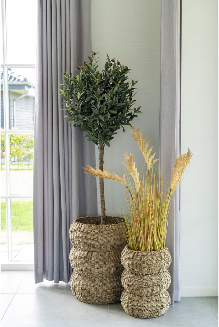 e0fd1932-b1ca-4ca3-8eac-baec7e03e1a9-afbeelding5.jpg (6331773)