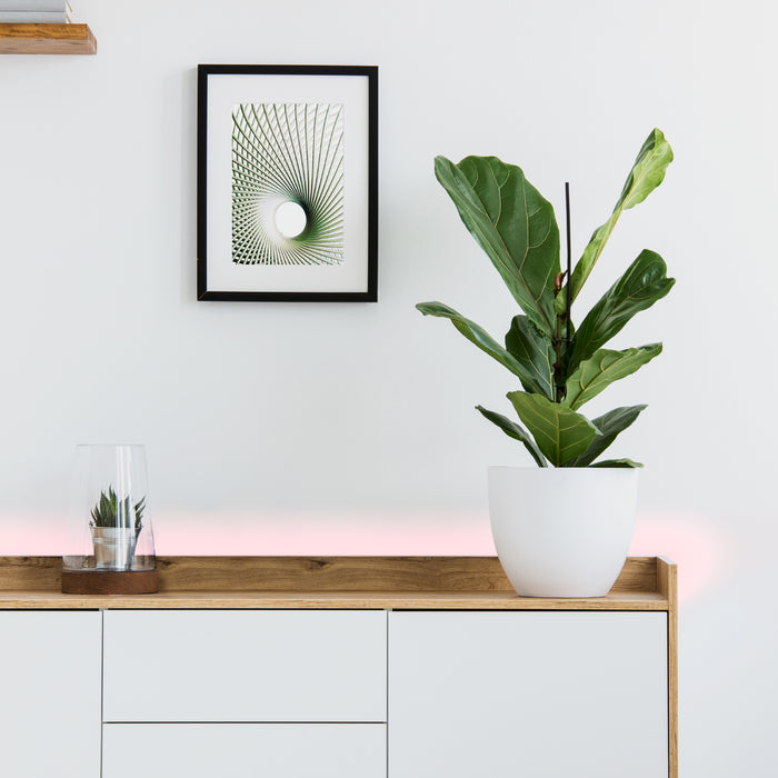 17c58438-ee87-4bca-9463-61ea43b132df-afbeelding6.jpg (6440844)