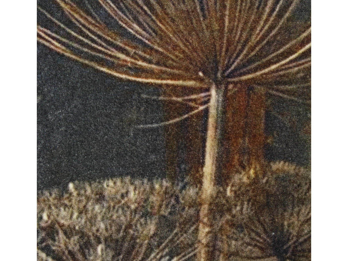 5f36bbd8-de23-41cb-a066-2026074b100f-afbeelding6.jpg (6464536)