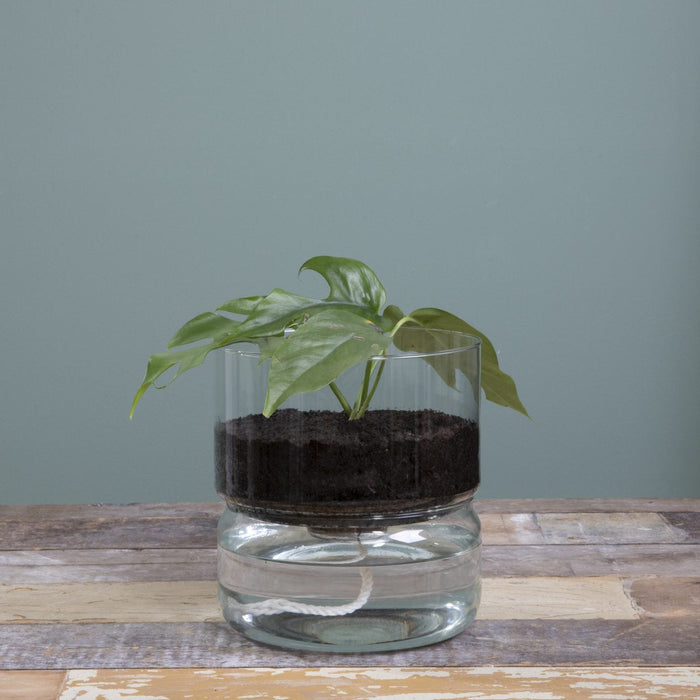 b10b72d4-21a0-4e55-aaa5-bba9b7a5849e-afbeelding6.jpg (6652107)