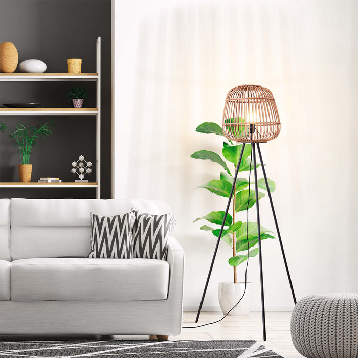 318589-x03-202308111022-A.jpg (6663218)