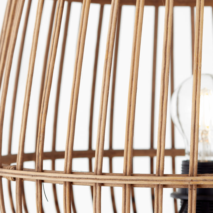 318589-x07-202308111022-C.jpg (6663225)