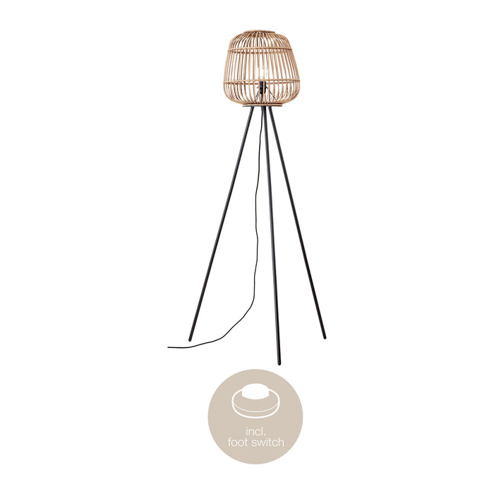 318589-x08-202308111022-C.jpg (6663227)