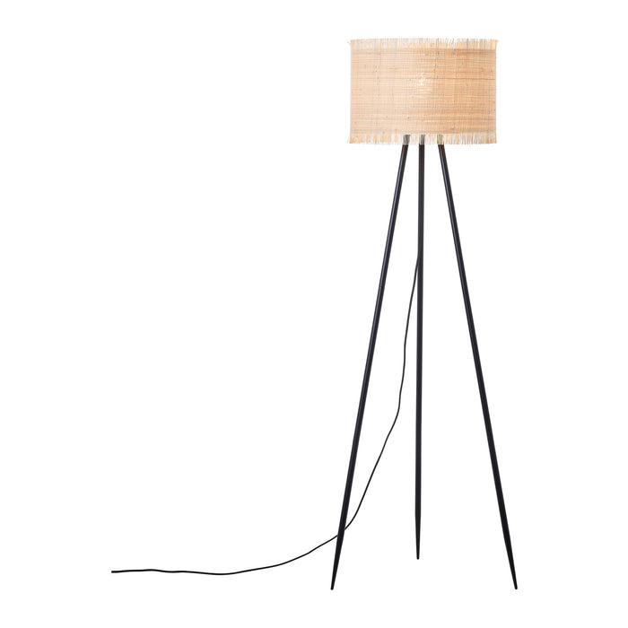 318599-x10-202308111023-C.jpg (6663370)