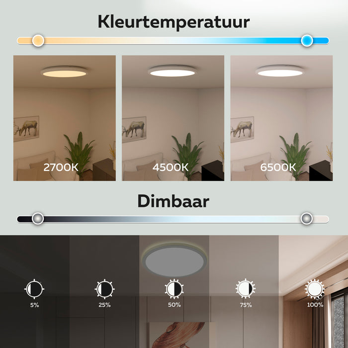 319734-x02-202308160622-C.jpg (6760300)