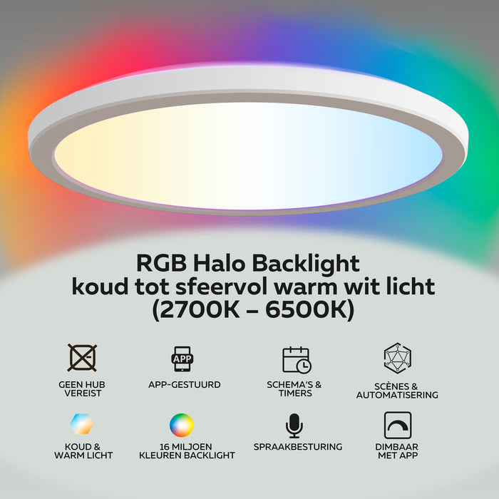 319734-x04-202308160622-C.jpg (6760303)