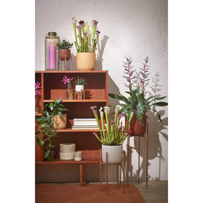 Mica Decorations - bloempot plantenstandaard- goud - H55 x B24 cm