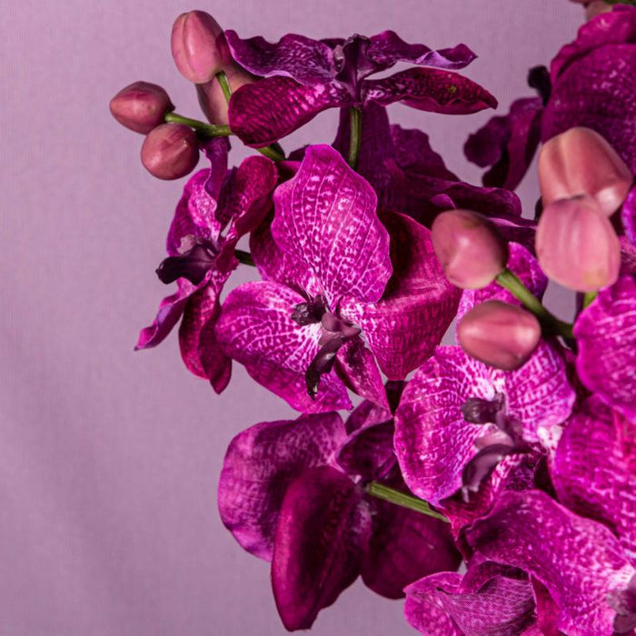 PTMD Orchidee Kunstbloem - 78 x 17 x 79 cm - Kunststof - Paars