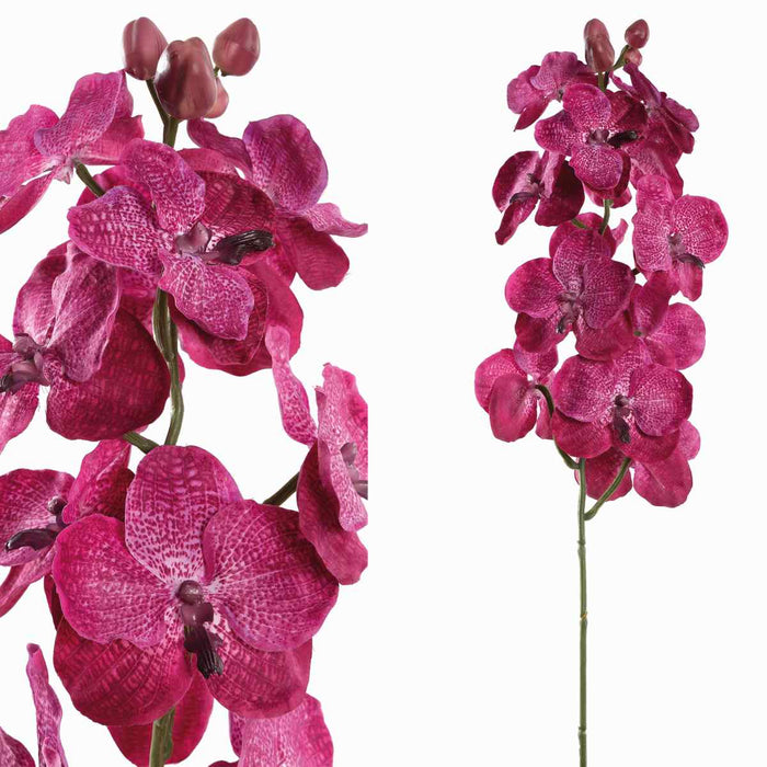PTMD Orchidee Kunstbloem - 78 x 17 x 79 cm - Kunststof - Paars