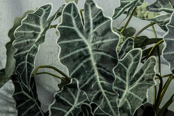 PTMD Alocasie Kunsttak - 119 x 34 x 118 cm - Kunststof - Groen