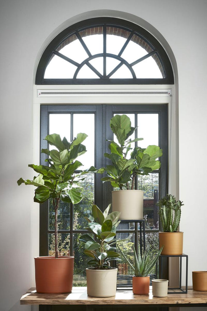 1f6bb093-732b-4eb4-87d4-7a4b4144a36b-afbeelding4.jpg (6907422)