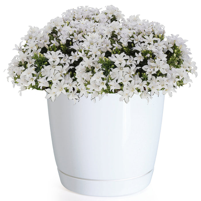 Prosperplast plantenpot - kunststof - parel wit - D14 x H13 cm