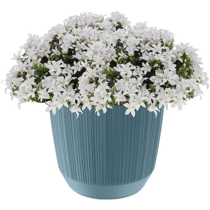 Prosperplast Plantenpot - stripe - ijsblauw - D13xH11 cm