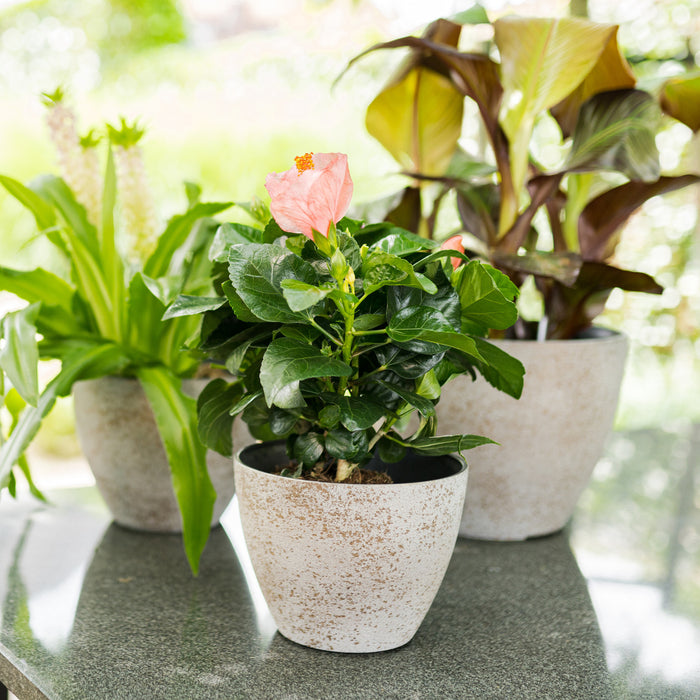 Ter Steege Bloempot|plantenpot - buiten - beige|goud - D22|H17 cm