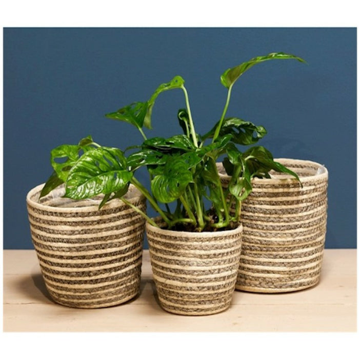 8c75658b-2be1-4637-8355-8fc2bbad1b49-sfeerbeeld.jpg (6969077)