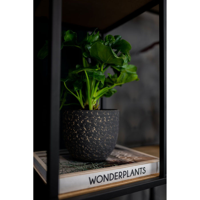 fdd65949-ec1c-4519-a33f-a7507cc96fa6-afbeelding4.jpg (6969572)