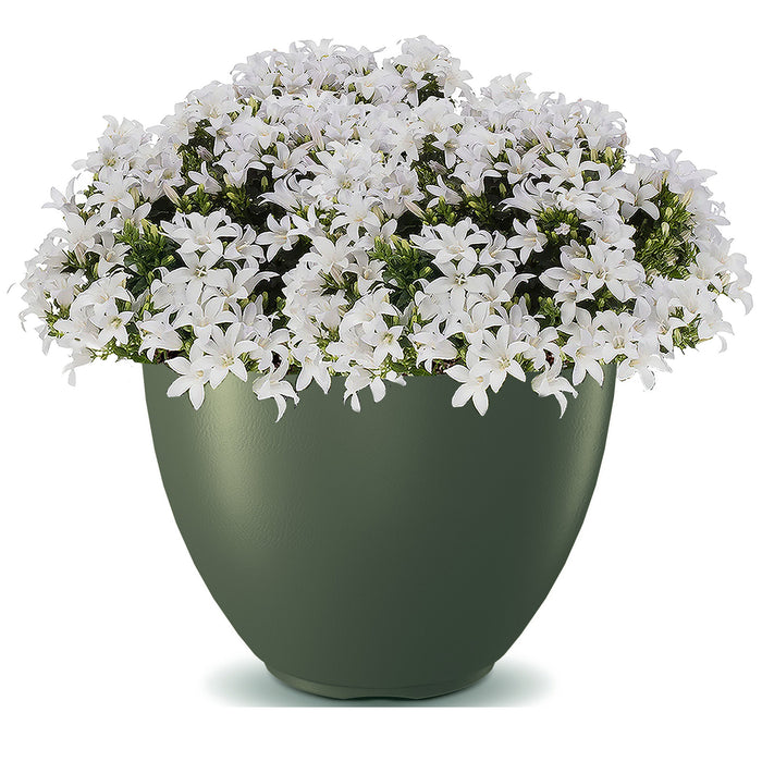 Prosperplast Plantenpot Sevilla - kunststof - dennengroen - D39 cm