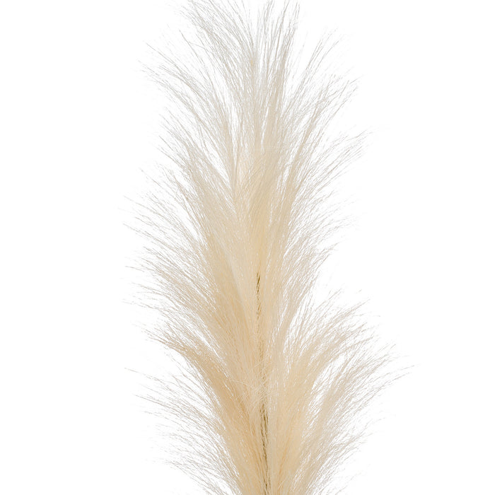 Emerald Pampasgras kunst pluim steel|tak - creme wit - 115 cm