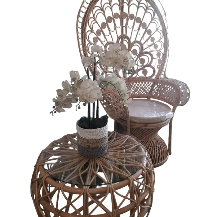 Furnilux Natuurlijke plantenbakken Collection(3 Stuks)