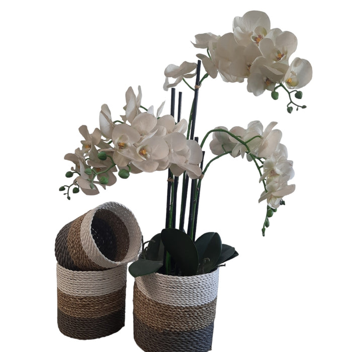 Furnilux Natuurlijke plantenbakken Collection(3 Stuks)