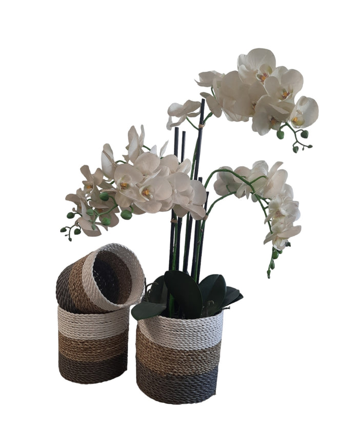 Furnilux Natuurlijke plantenbakken Collection(3 Stuks)