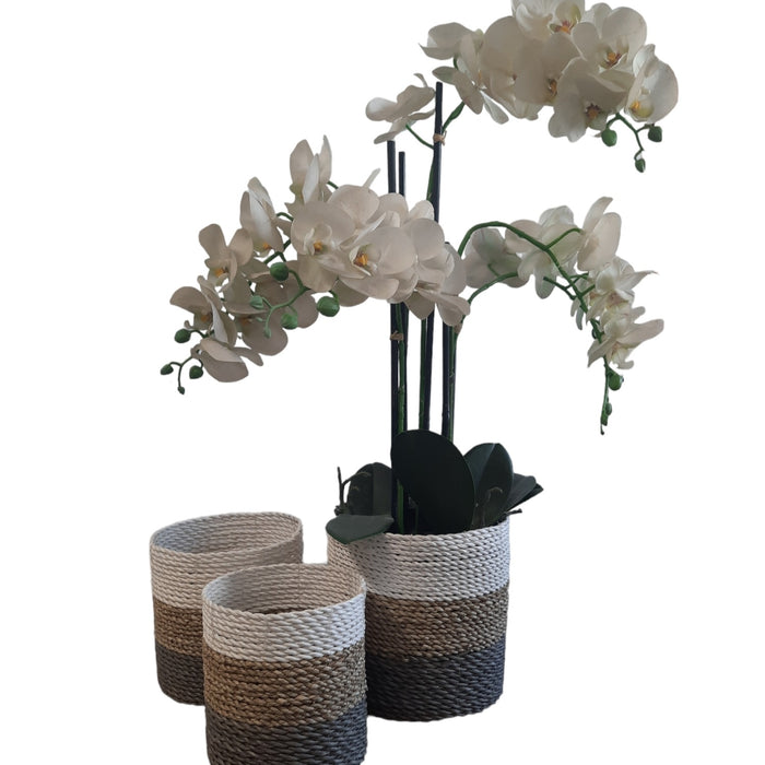 Furnilux Natuurlijke plantenbakken Collection(3 Stuks)