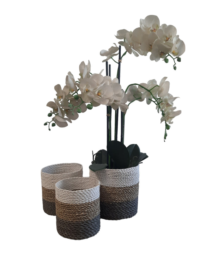 Furnilux Natuurlijke plantenbakken Collection(3 Stuks)