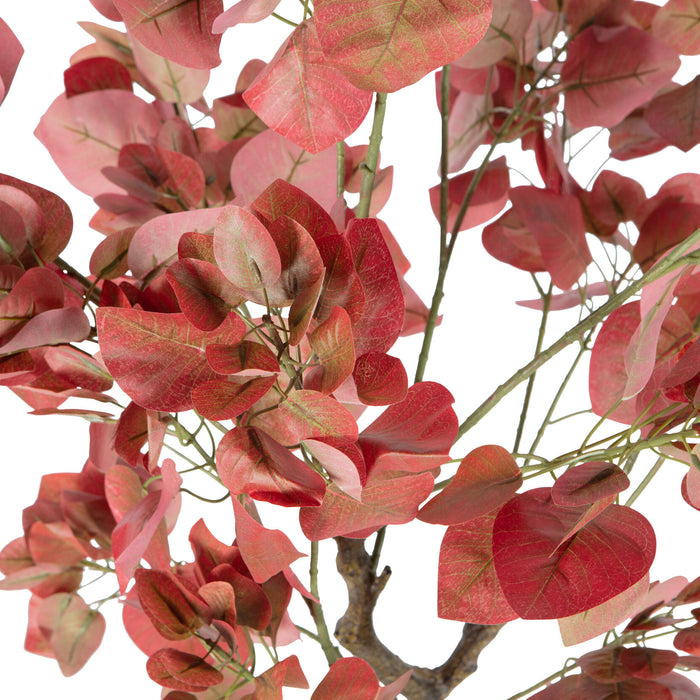 040d11ec-5871-4e67-9326-e0bf41a4981e-afbeelding6.jpg (7068739)