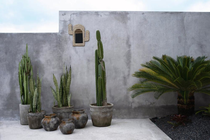 a372500a-7b0f-4abd-8a4a-411dc011fe6d-afbeelding3.jpg (7078273)