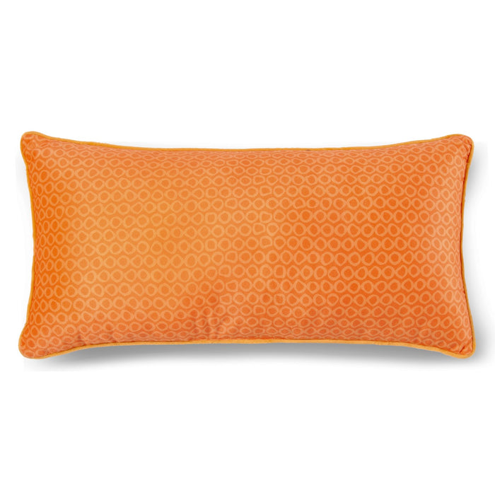 55b2656a-a4b8-4281-845c-c28b5a52d249-sfeerbeeld.jpg (7103309)