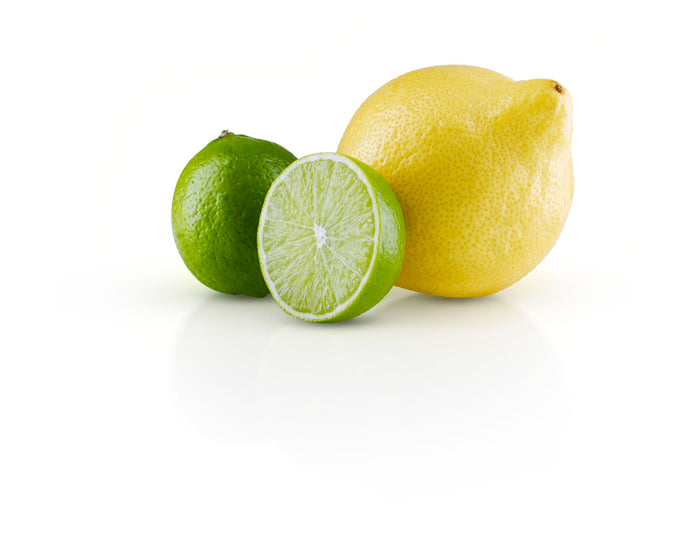 Eva Solo - Green Tool Citruspers - 18 cm - Eva Solo