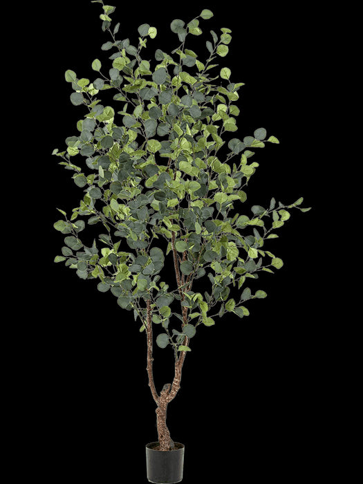 ea2cc24c-6270-423b-9ddf-9c9e315352b7-afbeelding3.jpg (7184929)